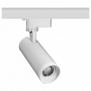 Светильник на штанге Эра  TR59 - 2030 WH в Стрежевом - strezevoi.ok-mebel.com | фото