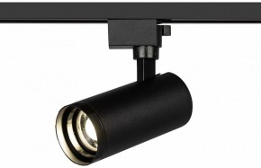 Светильник на штанге Эра  TR59 - 2040 BK в Стрежевом - strezevoi.ok-mebel.com | фото 5