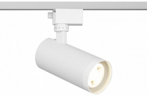 Светильник на штанге Эра  TR59 - 2040 WH в Стрежевом - strezevoi.ok-mebel.com | фото