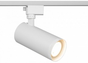Светильник на штанге Эра  TR59 - 3030 WH в Стрежевом - strezevoi.ok-mebel.com | фото