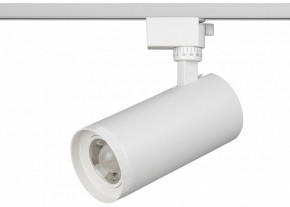 Светильник на штанге Эра  TR59 - 3030 WH в Стрежевом - strezevoi.ok-mebel.com | фото 2