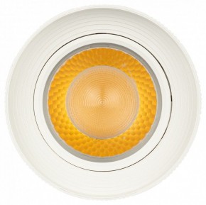 Светильник на штанге Эра  TR59 - 3030 WH в Стрежевом - strezevoi.ok-mebel.com | фото 3