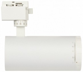Светильник на штанге Эра  TR59 - 3030 WH в Стрежевом - strezevoi.ok-mebel.com | фото 4