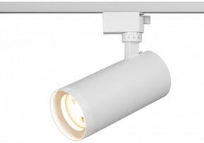 Светильник на штанге Эра  TR59 - 3030 WH в Стрежевом - strezevoi.ok-mebel.com | фото 5