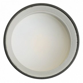 Светильник на штанге Feron ML1001 51371 в Стрежевом - strezevoi.ok-mebel.com | фото 4