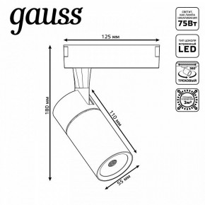 Светильник на штанге Gauss Track Light TR059 в Стрежевом - strezevoi.ok-mebel.com | фото 6