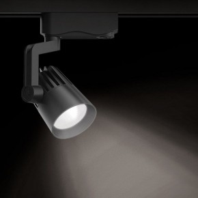 Светильник на штанге Gauss Track Light TR061 в Стрежевом - strezevoi.ok-mebel.com | фото 2