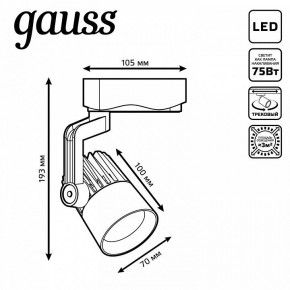 Светильник на штанге Gauss Track Light TR061 в Стрежевом - strezevoi.ok-mebel.com | фото 6