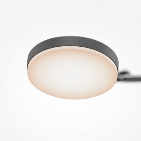 Светильник на штанге Maytoni Fad MOD070CL-L15B3K1 в Стрежевом - strezevoi.ok-mebel.com | фото 7