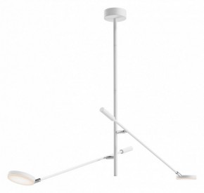 Светильник на штанге Maytoni Fad MOD070CL-L15W3K1 в Стрежевом - strezevoi.ok-mebel.com | фото