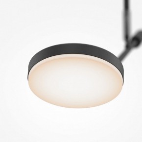 Светильник на штанге Maytoni Fad MOD070CL-L8B3K в Стрежевом - strezevoi.ok-mebel.com | фото 4