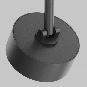 Светильник на штанге Maytoni Lens TR217-4-15WTW-DD-B в Стрежевом - strezevoi.ok-mebel.com | фото 11