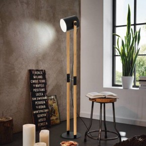 Торшер Eglo HORNWOOD 43521 в Стрежевом - strezevoi.ok-mebel.com | фото 3