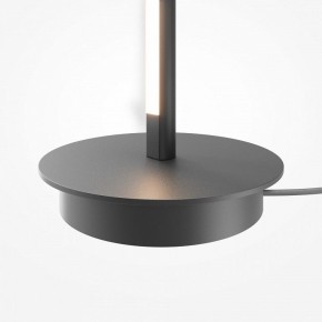 Торшер Maytoni Thin MOD395FL-L28B3K в Стрежевом - strezevoi.ok-mebel.com | фото 8