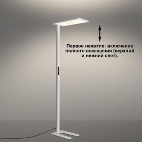 Торшер Novotech STUDI 359545 в Стрежевом - strezevoi.ok-mebel.com | фото 5