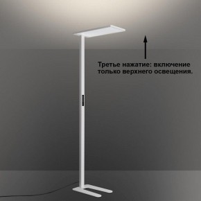Торшер Novotech STUDI 359545 в Стрежевом - strezevoi.ok-mebel.com | фото 6