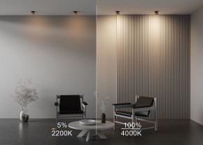 Встраиваемый светильник Maytoni Onda DL024-12W-DTW-BMG в Стрежевом - strezevoi.ok-mebel.com | фото 9